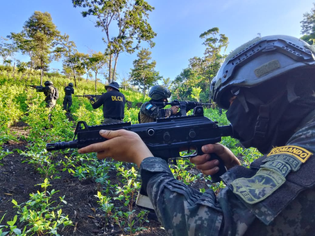 FF.AA. asesta golpe a estructuras criminales mediente operaciones de inteligencia