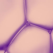 Purple liquid bubbles
