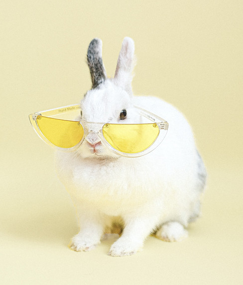 Cute, white bunny wearing oversized sunglasses, illustrating Scibel Cruelty Free principles