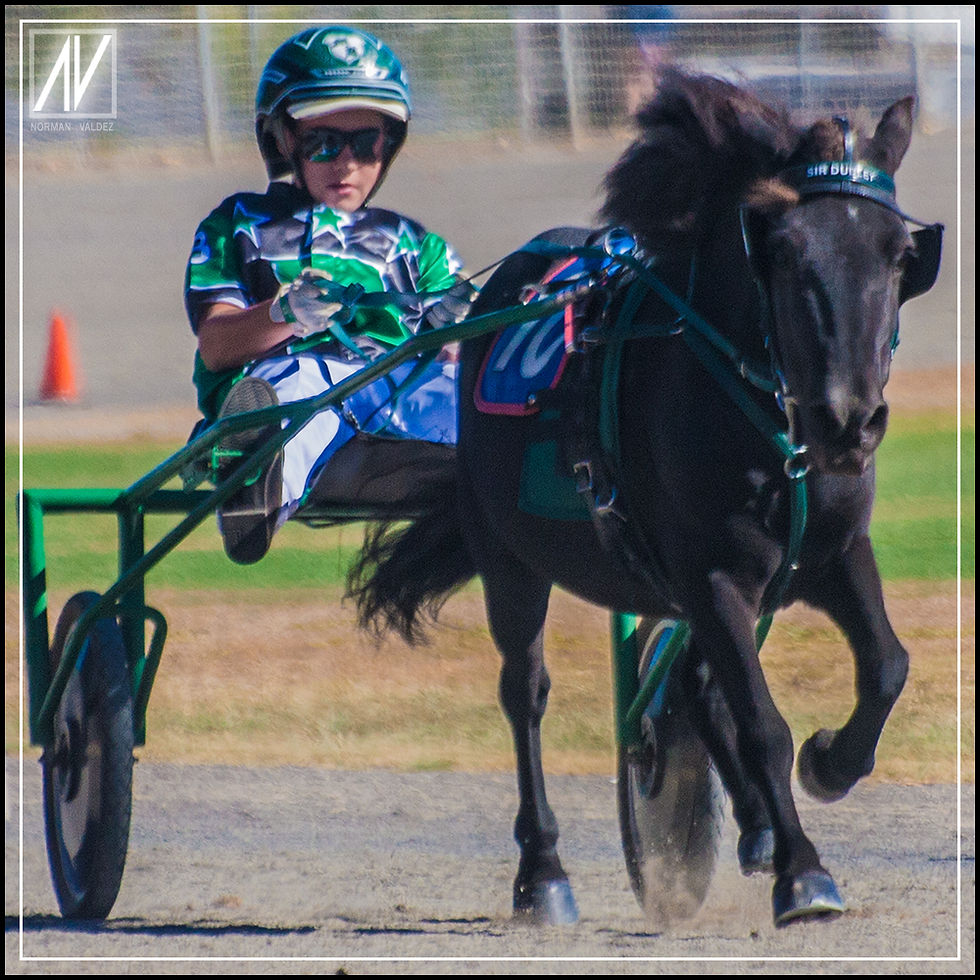 NSW Mini Trots | Graduates 2020 | Mason Beresford
