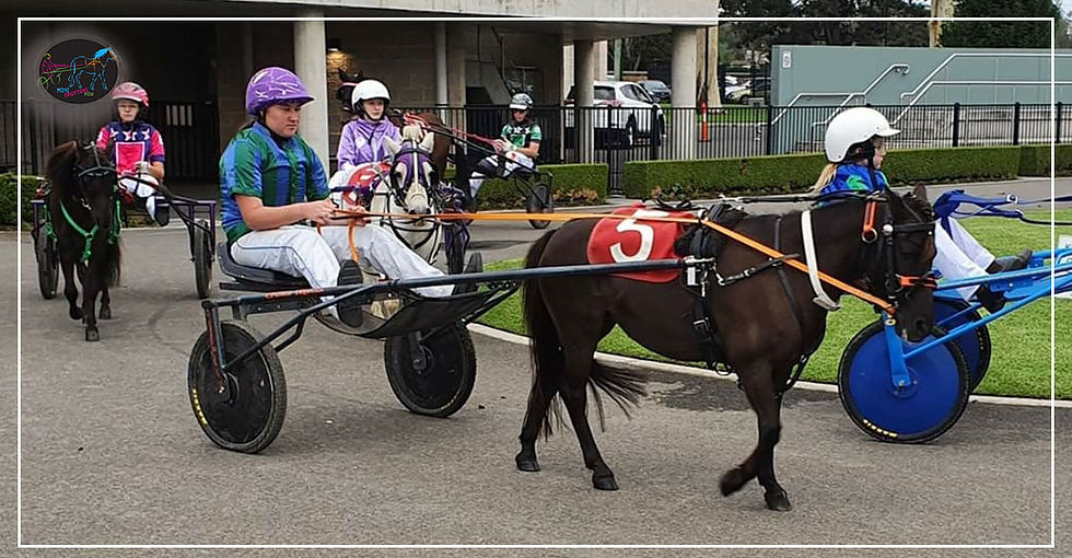 Menangle Park Mini Trots - Mackenzie Gallagher with Crystal Ball