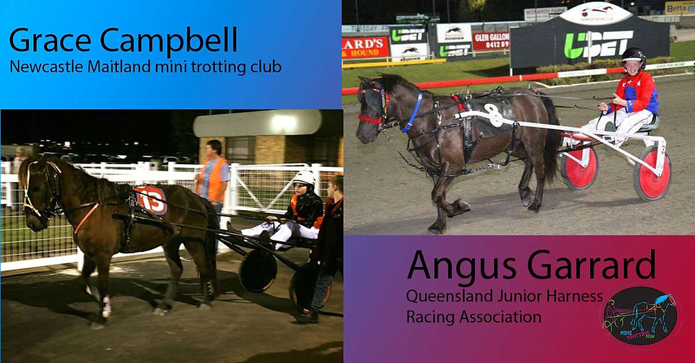 NSW Mini Trots Association in NZ