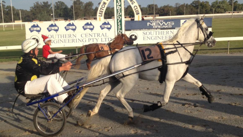 Leeton Mini Trotting Club