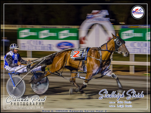 R7 - HRNSW REWARDS SERIES HEAT 2 - Studleigh Stride - Jake Davis - 02 - 001