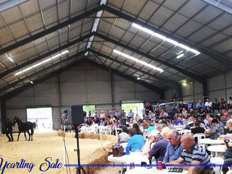 Bathurst Yearling Sale 2017 results