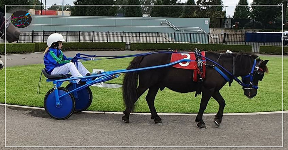 Menangle Park Mini Trots - Lilly McCarthy with Sparkling Star
