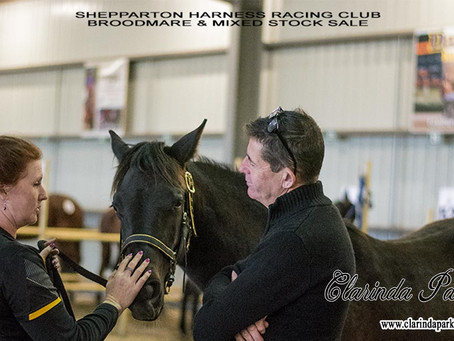 Clarinda Park Horses At Shepparton Harness Horse Sale