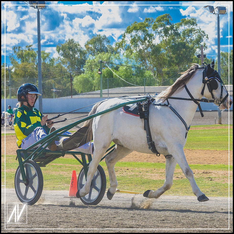 NSW Mini Trots | Graduates 2020 | Taylah Osmond