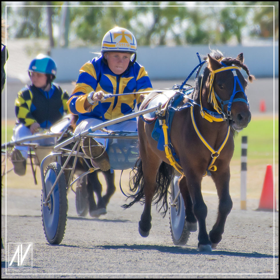 NSW Mini Trots | Graduates 2020 | Isabella Cassar
