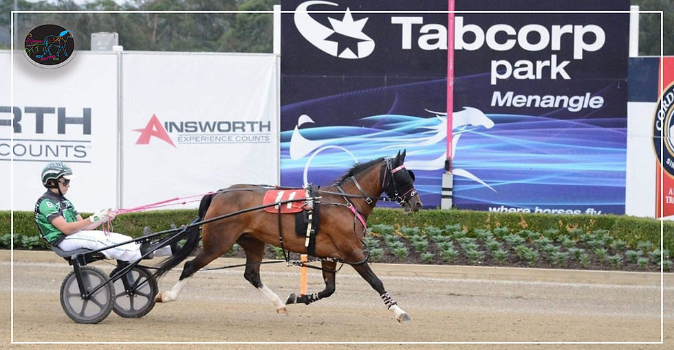 Menangle Park Mini Trots - Mason Beresford driving Velvets Little Star