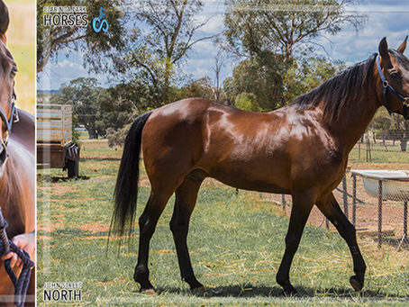 John Street North Passes Away.