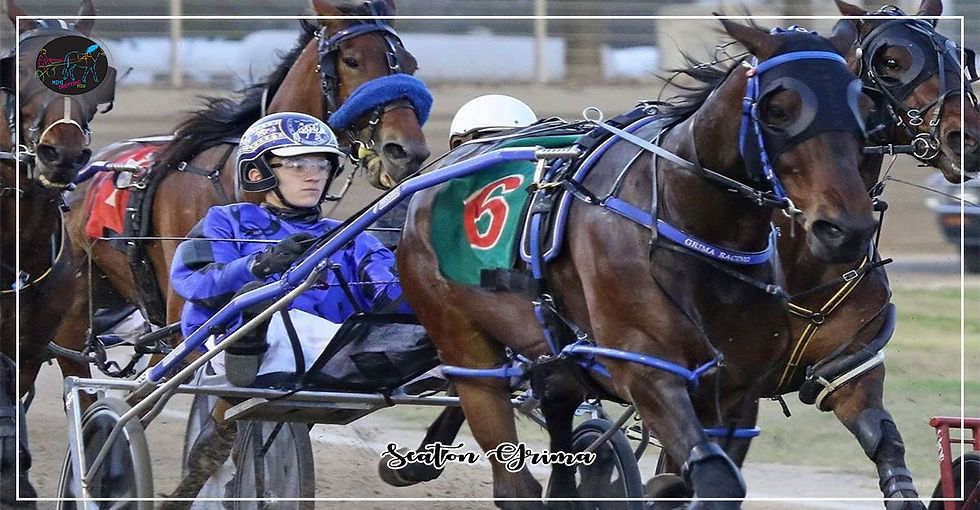 Seaton Grima First Win After Graduating Mini Trots