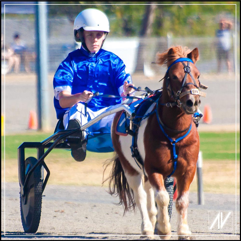 NSW Mini Trots | Graduates 2020 | Sam Haslam