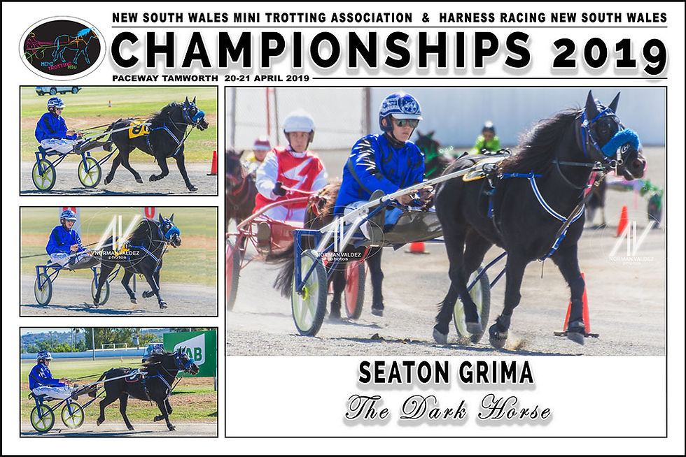 Seaton Grima driving The Dark Horse during the New South Wales Mini Trots Championships 2019 held at Paceway Tamworth