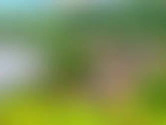 Costa Rica Real Estate Market Trends 2024: A Comprehensive Guide to Insights and Investment Opportunities for 2025