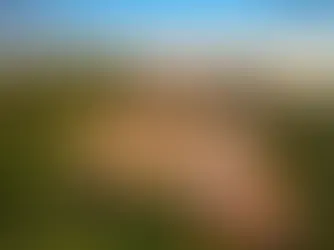 Why Guanacaste Is the Best Place to Buy Property in Costa Rica