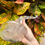 Thumbnail: Typhoon