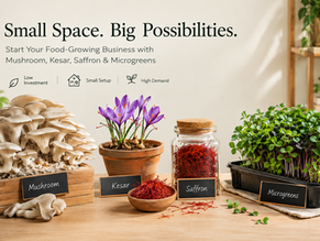 Grow Mushrooms, Microgreens, Kesar in small spaces