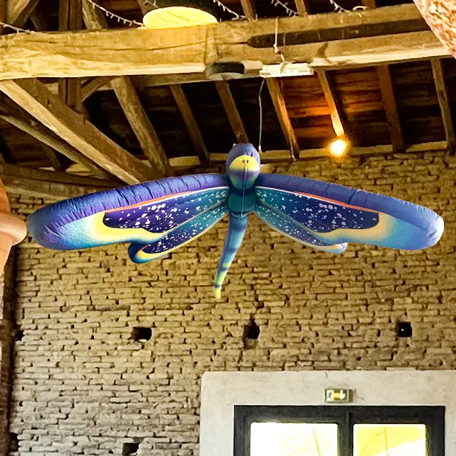 PopUp Libellule Gonflable