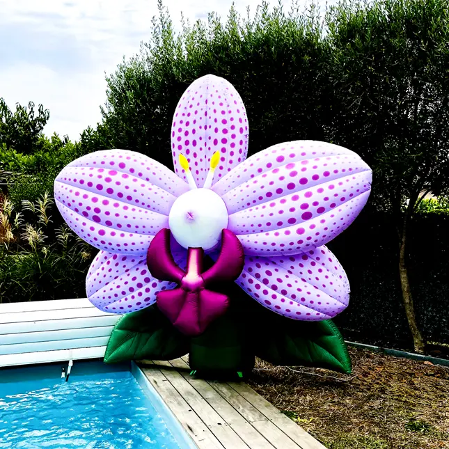 PopUp Orchidée Mauve Gonflable
