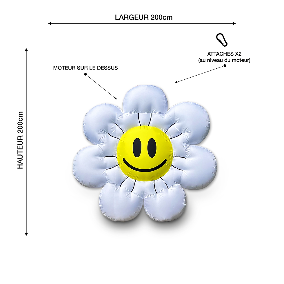 PopUp Fleur Smiley Gonflable Vignette Technique