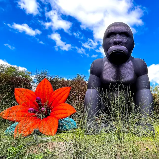 PopUp Gorille Géant Gonflable en Location