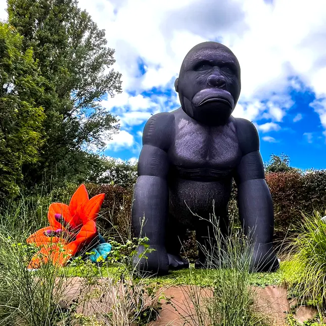 PopUp Gorille Géant Gonflable en Location