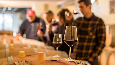 nebbiolo 360.jpeg