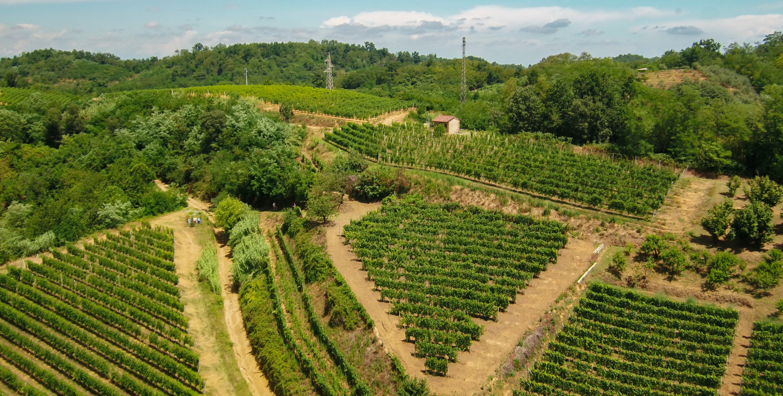 Poderi Vaiot