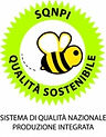 LOGO SQNPI_edited.jpg