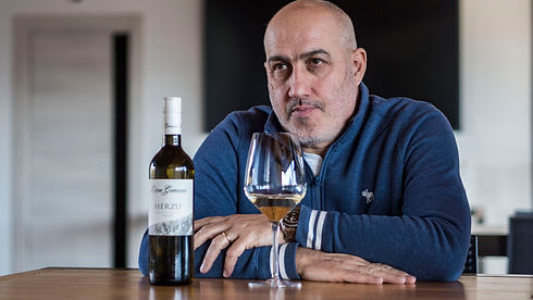 focus vini bianchi .jpeg