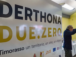 Il Timorasso si presenta