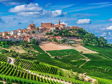 La Morra Wine Club