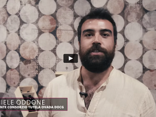 Insieme per un grande Ovada Docg 