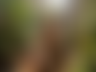 Transform Your Mental Wellness with Yoga and Mindful Movement