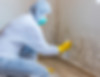 Restoration Service OnGoing