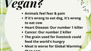 Why Vegan? Here's the reason why..