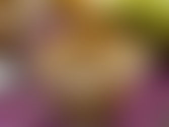 Creamy Apple Cinnamon Rice Pudding