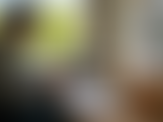 7 Steps to Boost SEO for Your Vegan Brand Ethically and Effectively