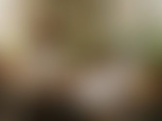 Mastering the Vegan Customer Journey: A Step-by-Step Guide for Brand Success