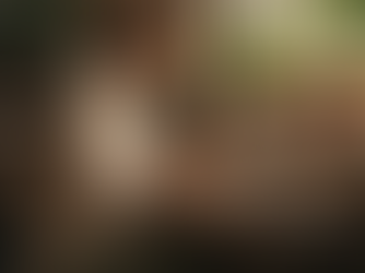 Crafting Ethical Vegan Launches: A Storytelling Framework for Authentic Connection