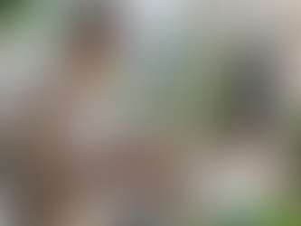 Mastering CSS Specificity for Ethical Web Design in Vegan Businesses