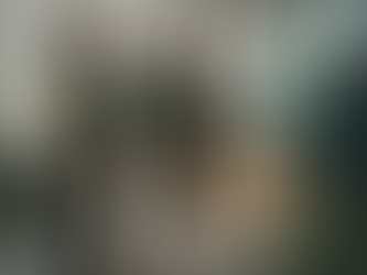 Traceable Transparency: The Future of Ethical Vegan Brands Online