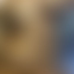 Mur de pierre intérieur salon | Fini mural | Yan Pigeon