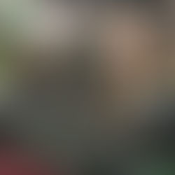 Salon de l'habitation Saguenay 2017