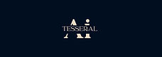 Tesseral Ai logo expanded_edited.jpg