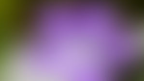 4月 「見えない仕事」