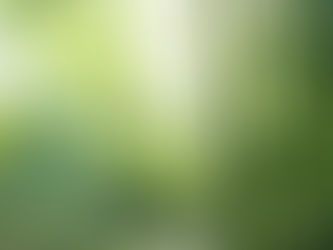 9月 「竹の春」