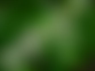 日々の想い Vol.33