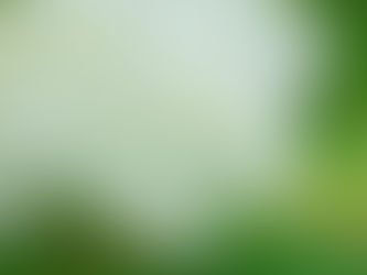 6月 「花の如く」